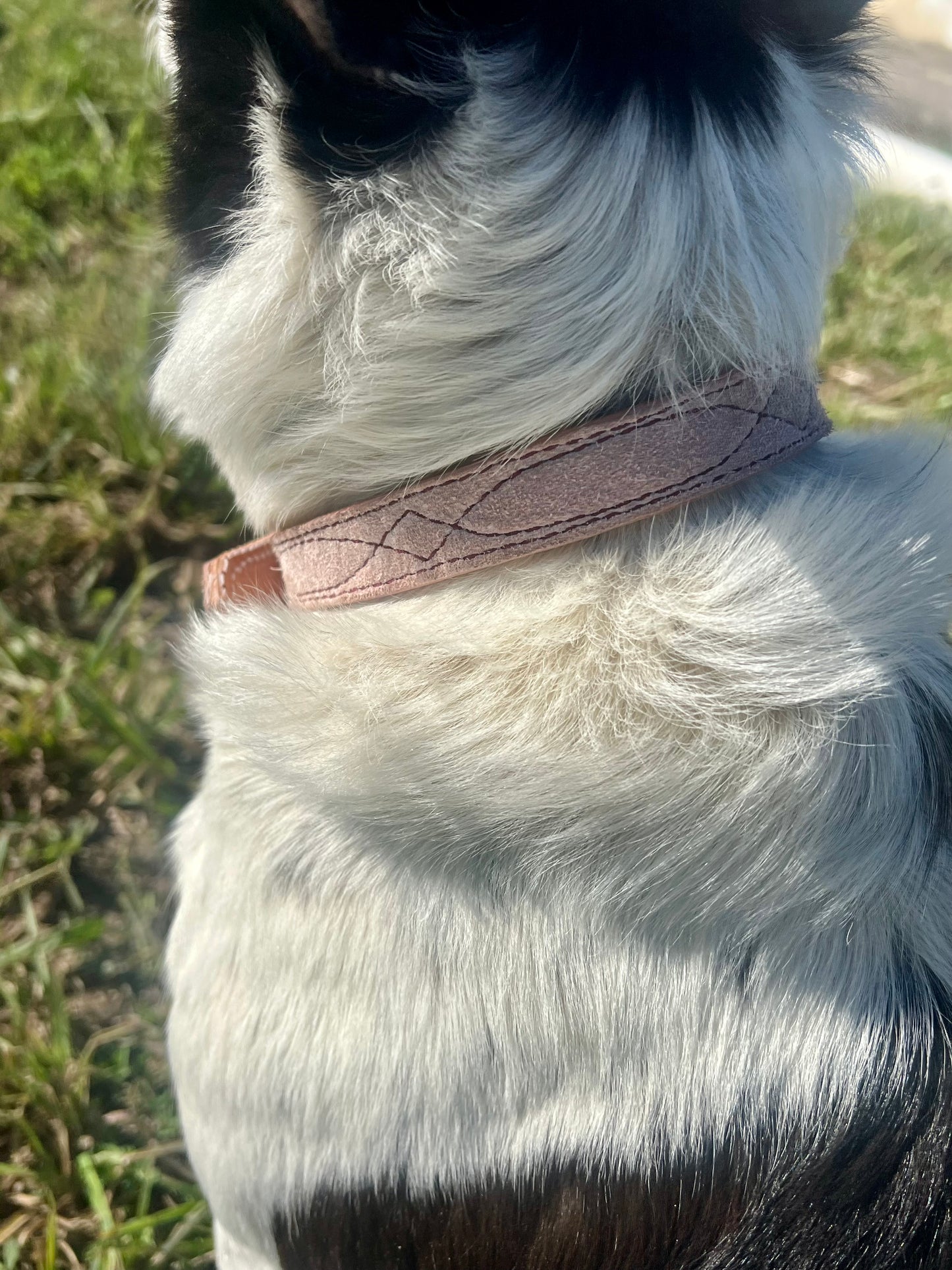 The “pretty in pink” collar