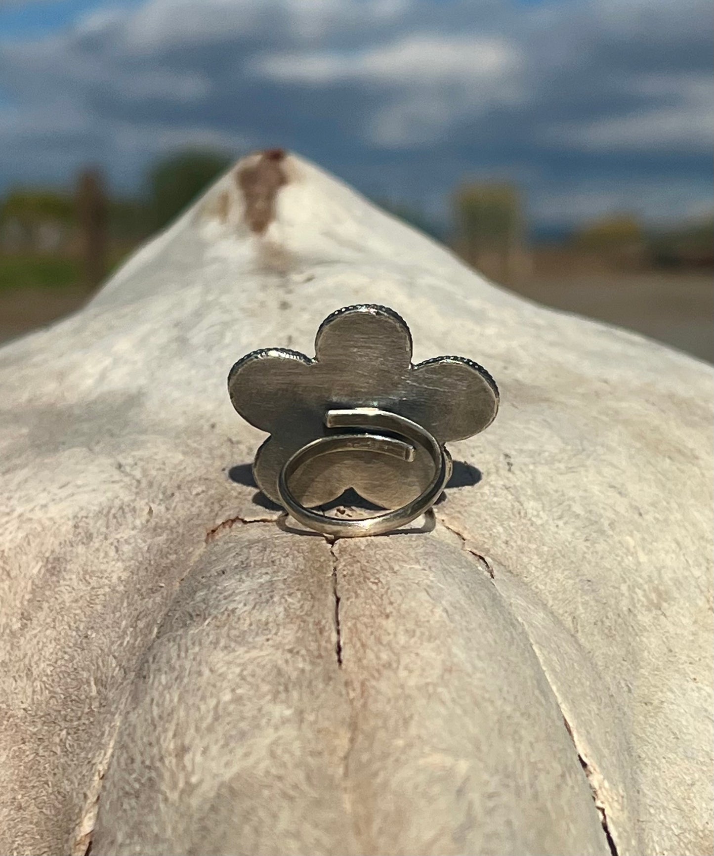 The “Killer Bee”