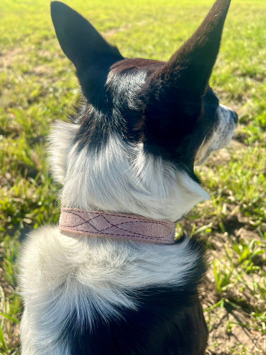 The “pretty in pink” collar